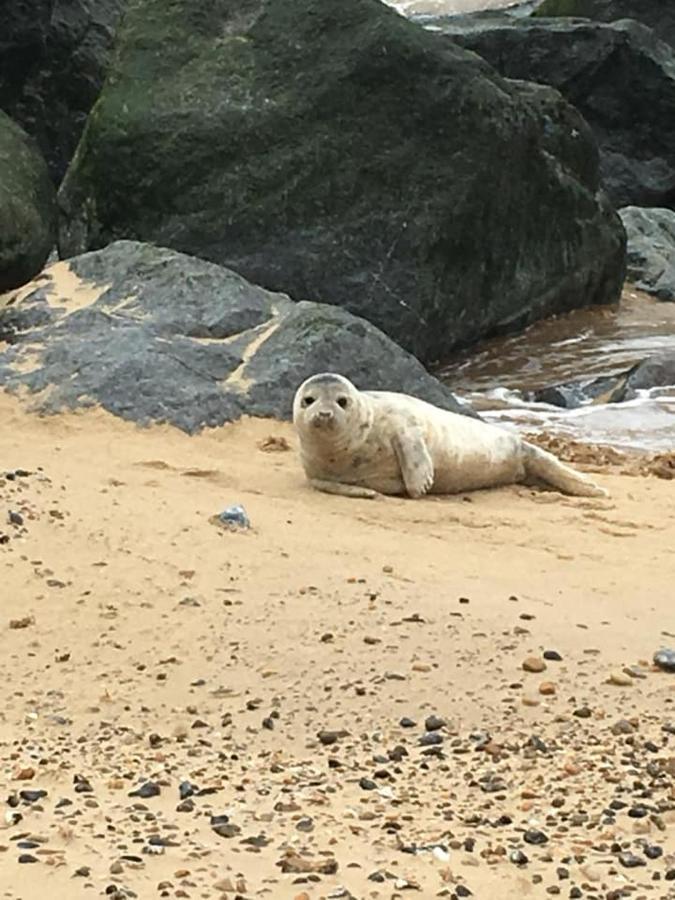Sea Palling Coastal Terrace Dogs Welcome Optional Hot Tub 빌라 외부 사진