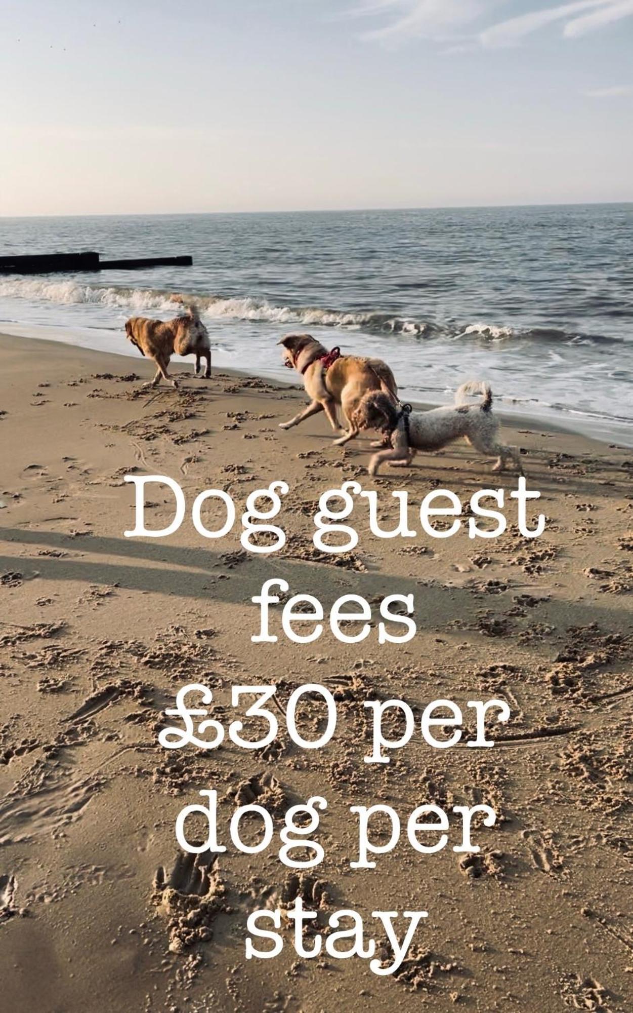 Sea Palling Coastal Terrace Dogs Welcome Optional Hot Tub 빌라 외부 사진